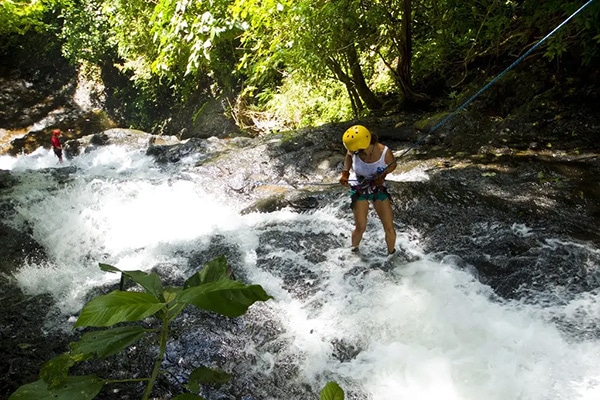 Waterfall Rappel Tour Jaco