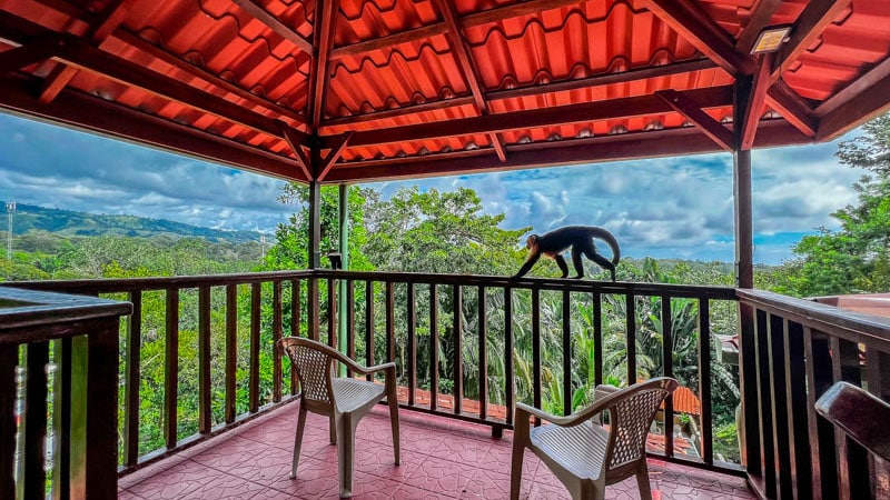 Palacio del Bosque, Jungle Palace. Vacation Rental in Jaco, Costa Rica.